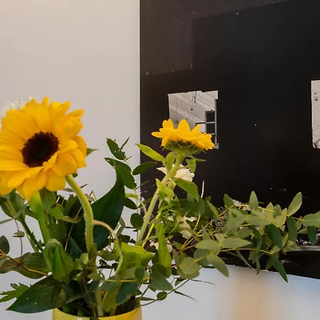Casa Francesca:centrale, A Due Passi Dal Valentino Appartement