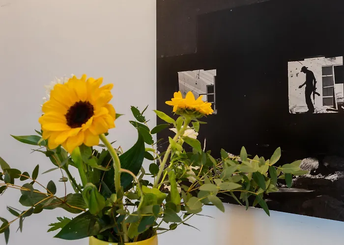 Casa Francesca:centrale, A Due Passi Dal Valentino Apartmán